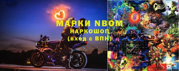 твердый Михайлов
