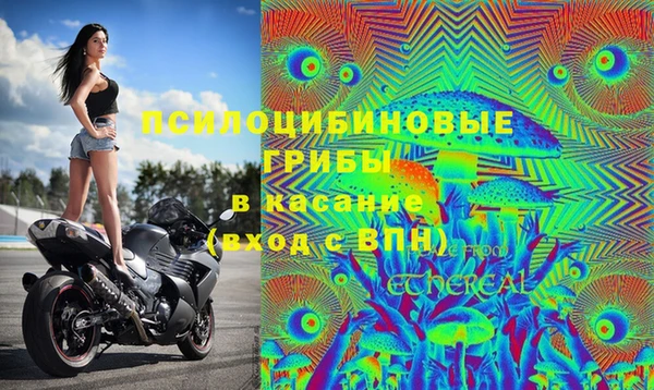 мяу мяу мука Арсеньев