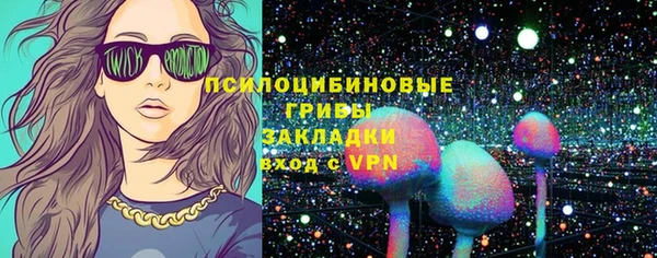 мяу мяу мука Арсеньев